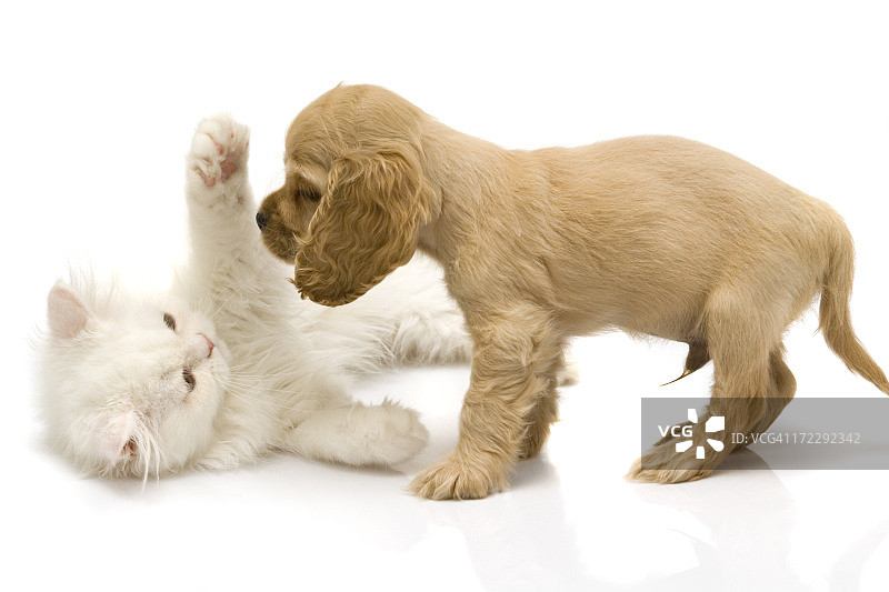 时间玩图片素材