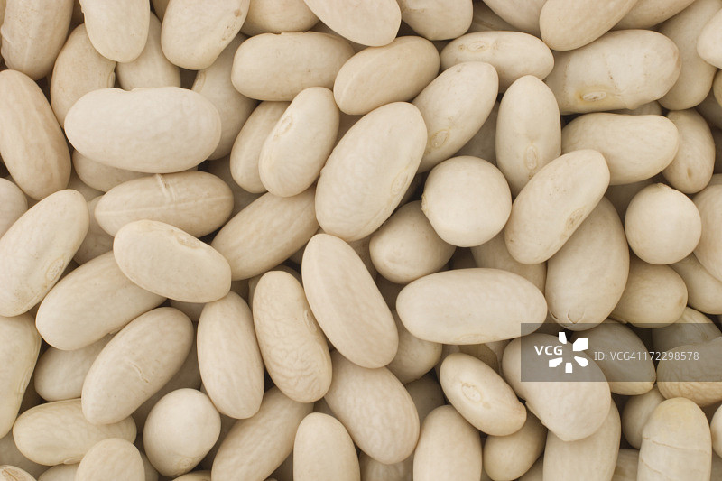 大量白芸豆图片素材