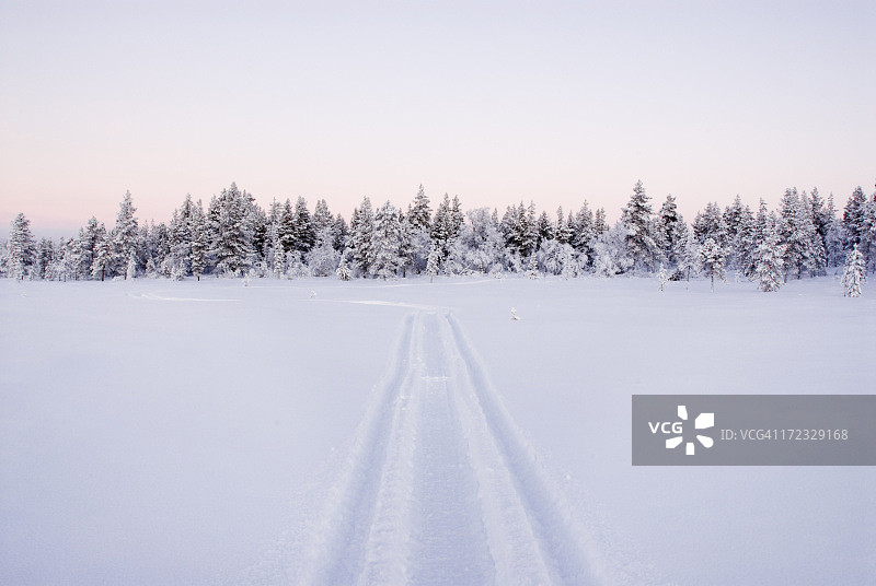 雪地摩托车道上的雪顶森林图片素材