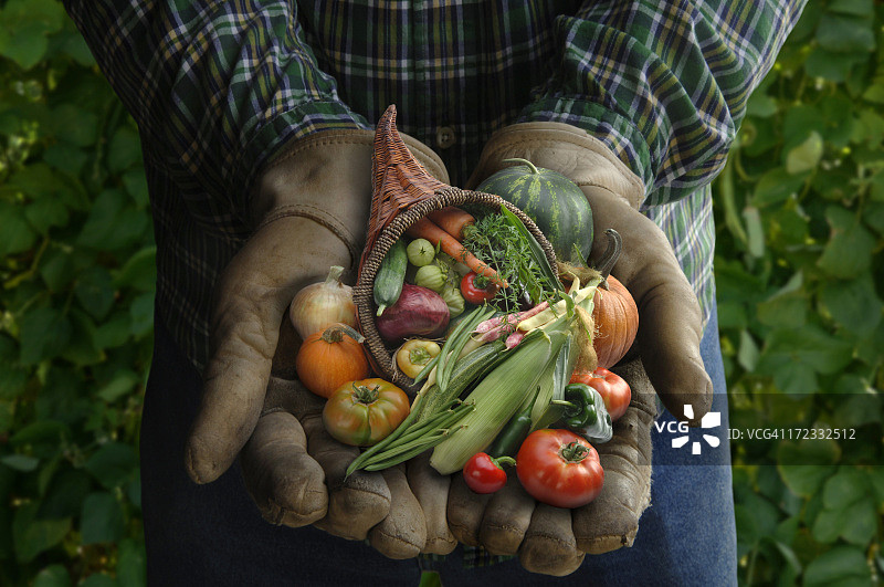 收获之手图片素材