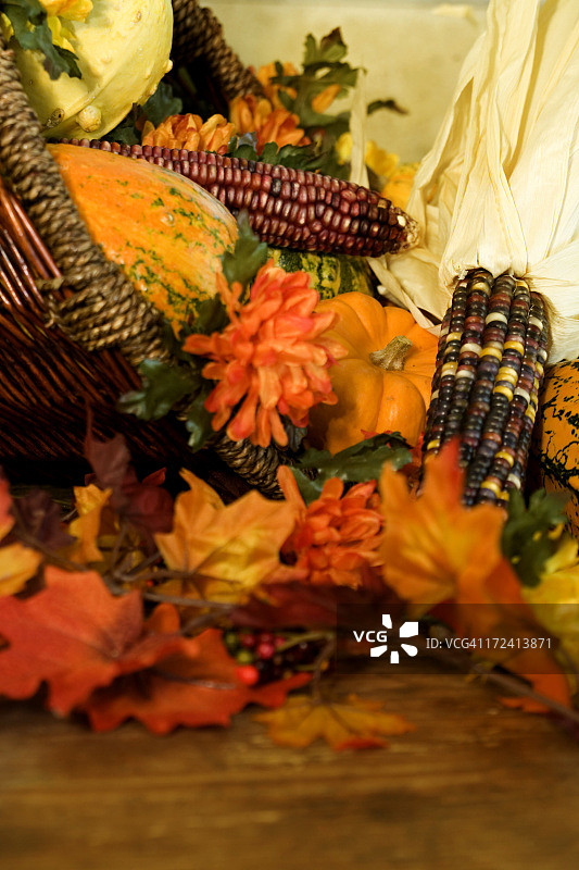 感恩节丰饶角图片素材