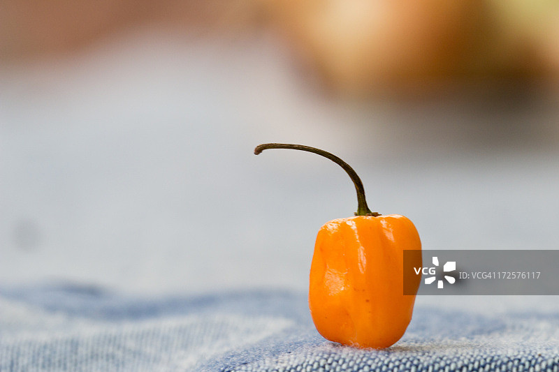 黄辣椒图片素材