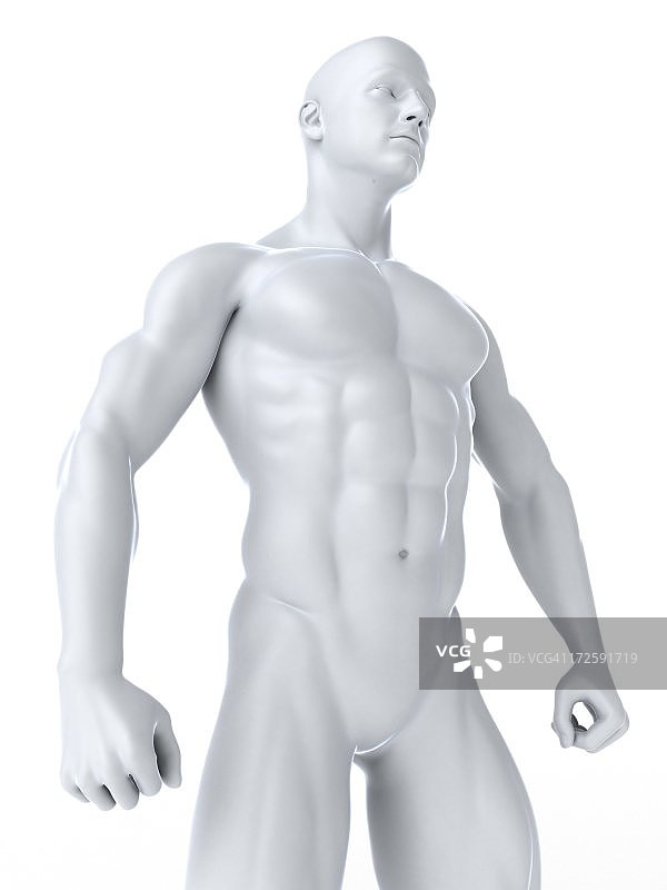 健美运动员艺术作品图片素材