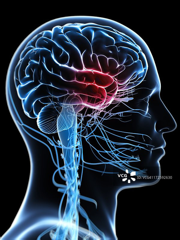 头痛，艺术作品图片素材