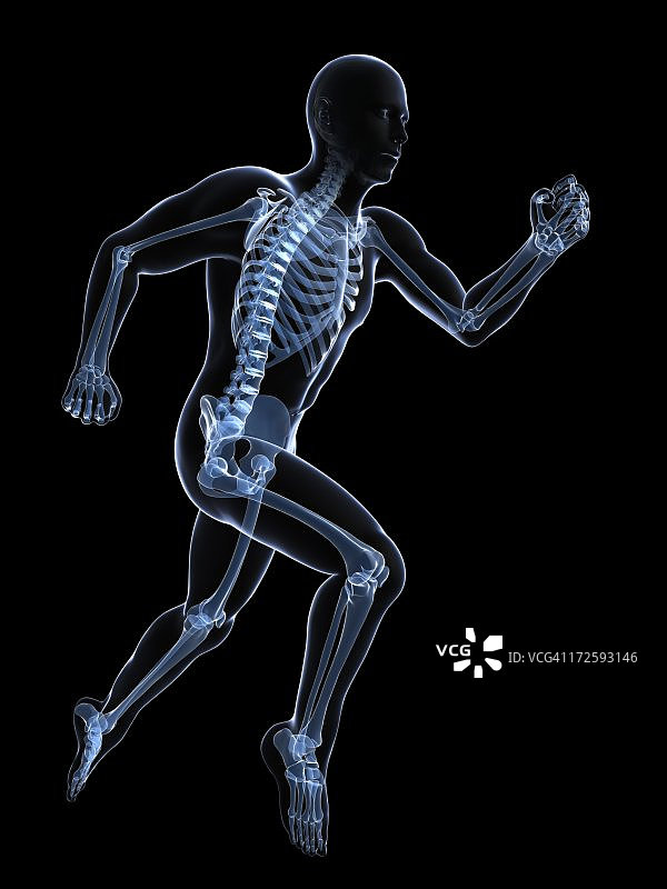 奔跑的骨骼艺术作品图片素材