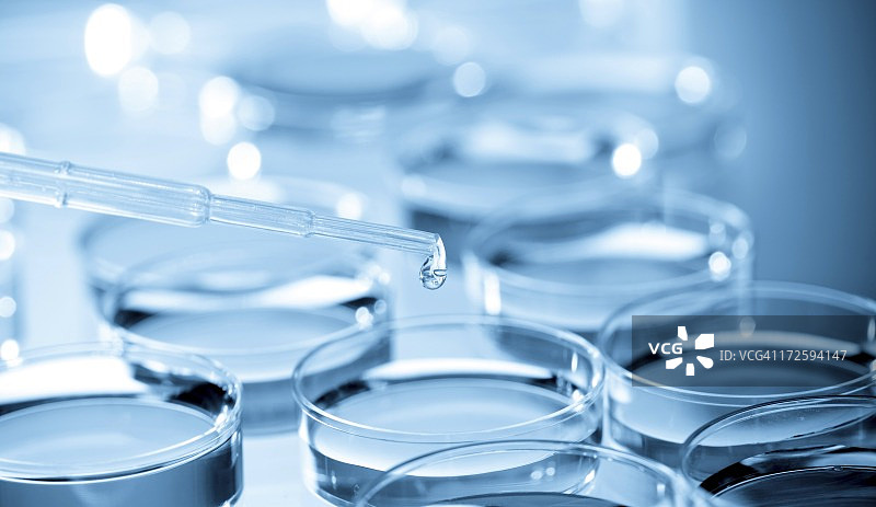 生物研究图片素材