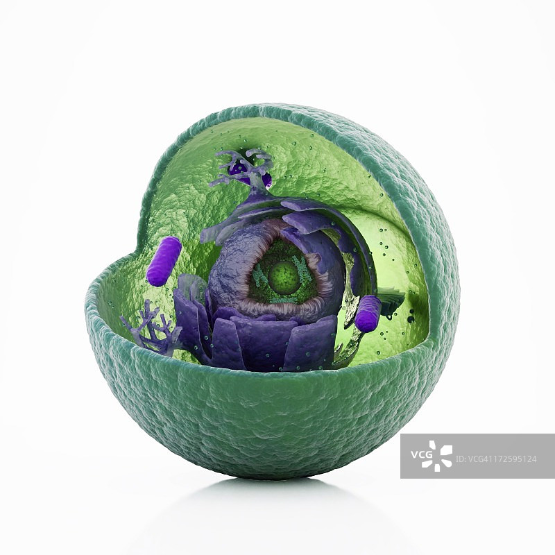 动物细胞艺术图图片素材