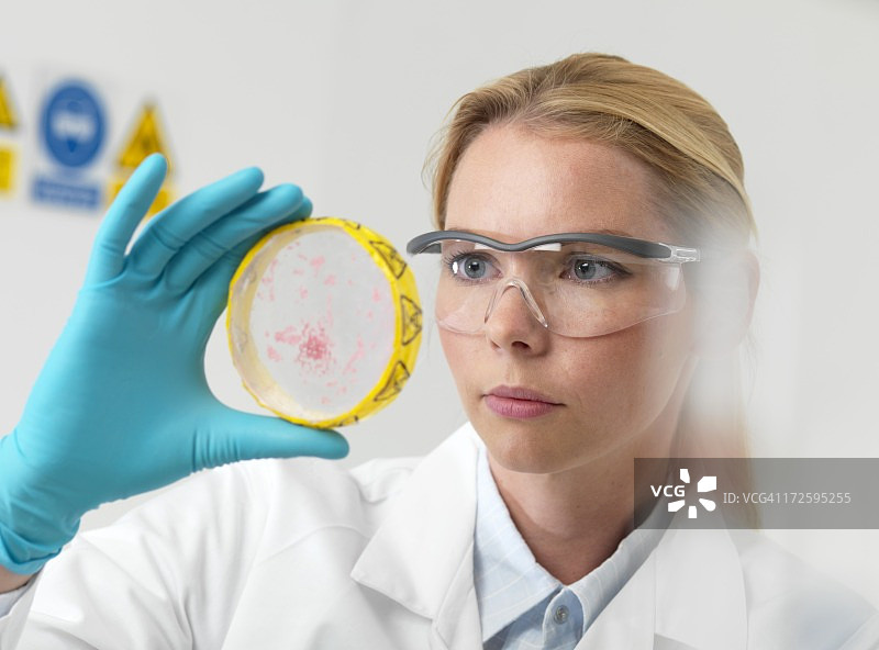 微生物学研究图片素材