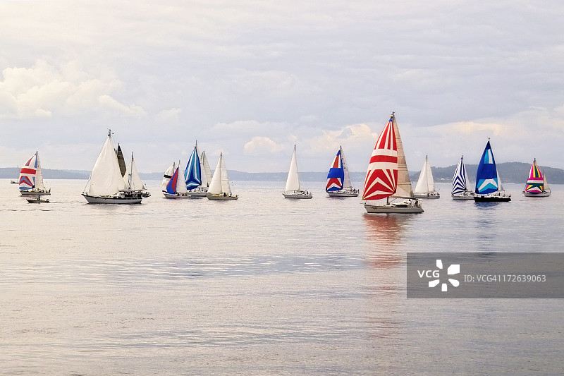 赛船会图片素材