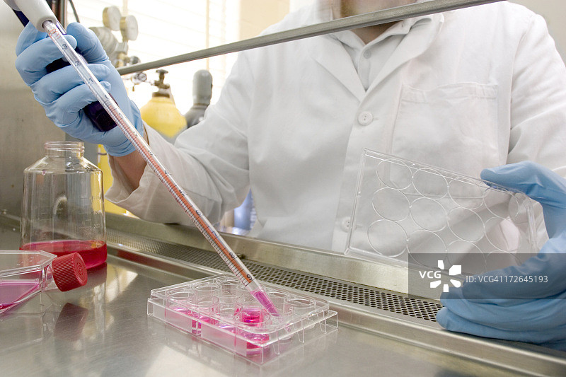 干细胞培养图片素材