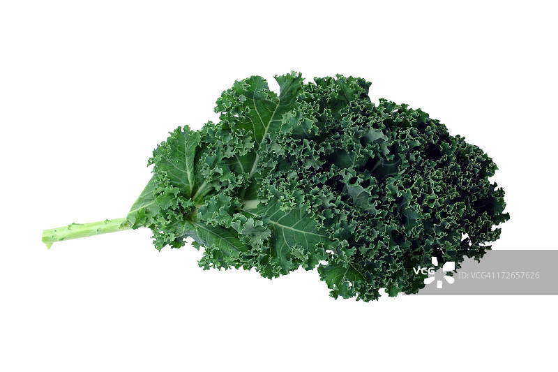 白色背景上的一堆绿色羽衣甘蓝图片素材
