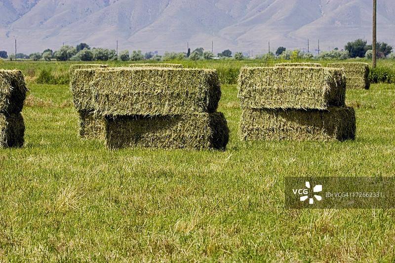 堆叠的大草捆图片素材