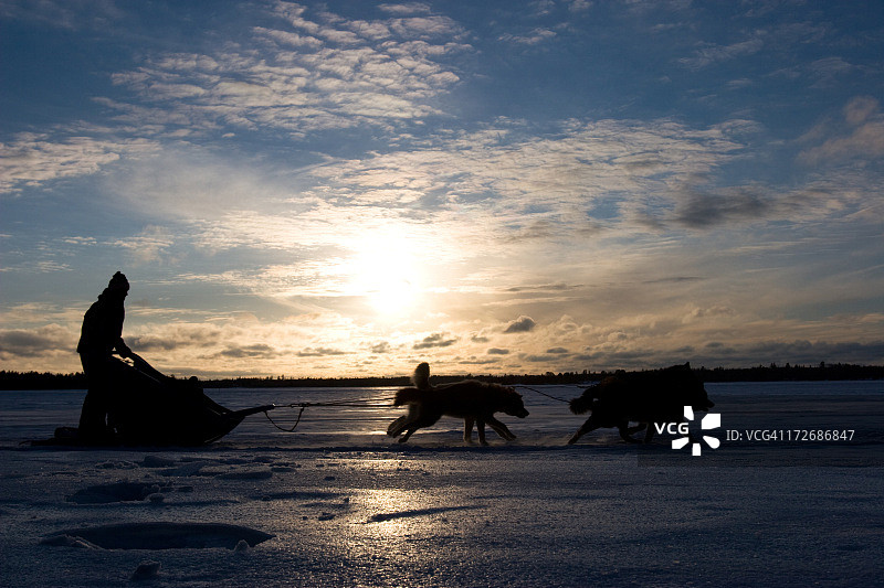 在明尼苏达州狗拉雪橇图片素材