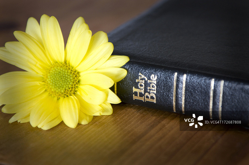 圣经（系列 4）图片素材