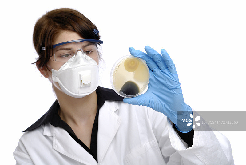 分析生物培养图片素材