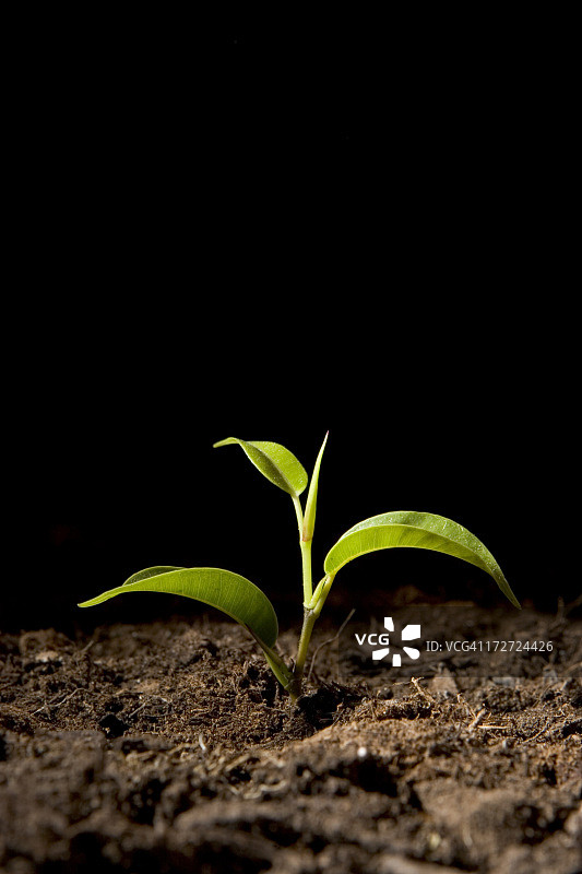 新生活图片素材