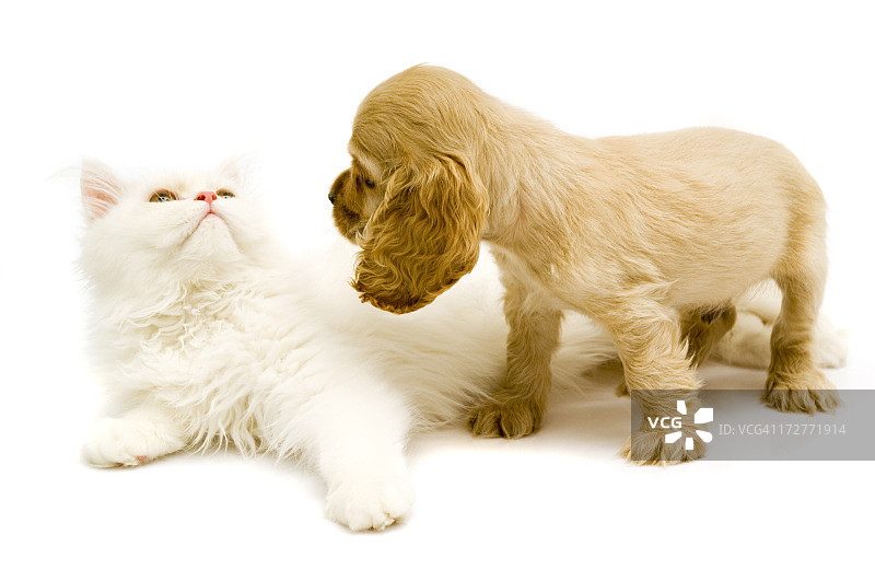 朋友们图片素材