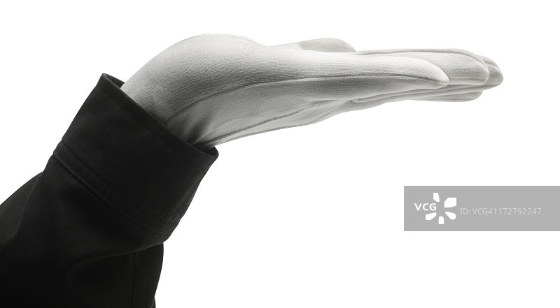 管家的手图片素材