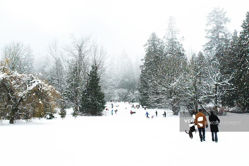 公园里的冬季乐趣图片素材