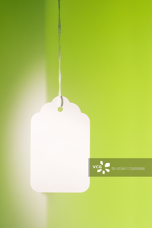用于营销购物的春绿色空白价格标签图片素材