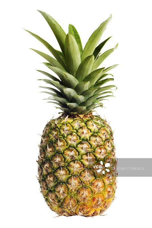 成熟的新鲜菠萝水果，整个菠萝，白色背景上图片素材