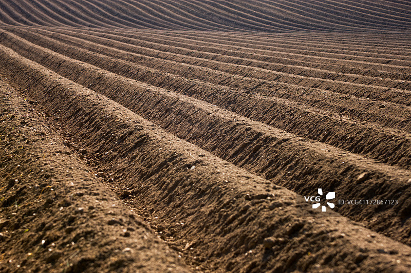 犁过的田地里的行特写图片素材