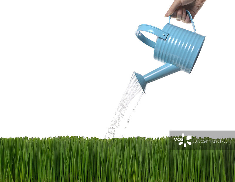浇水图片素材