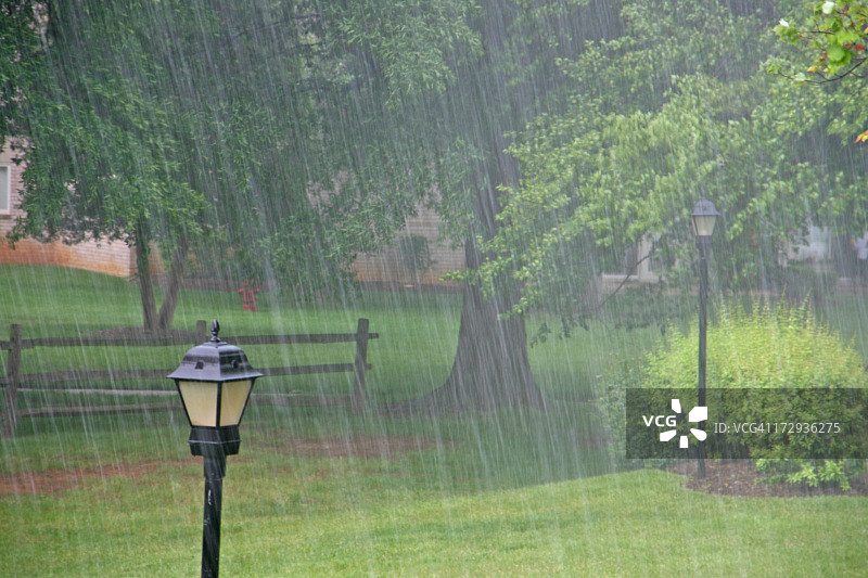 公园里的大雨图片素材