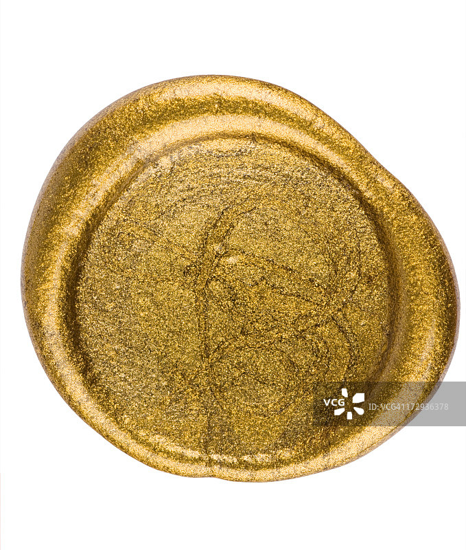 金色海豹图片素材