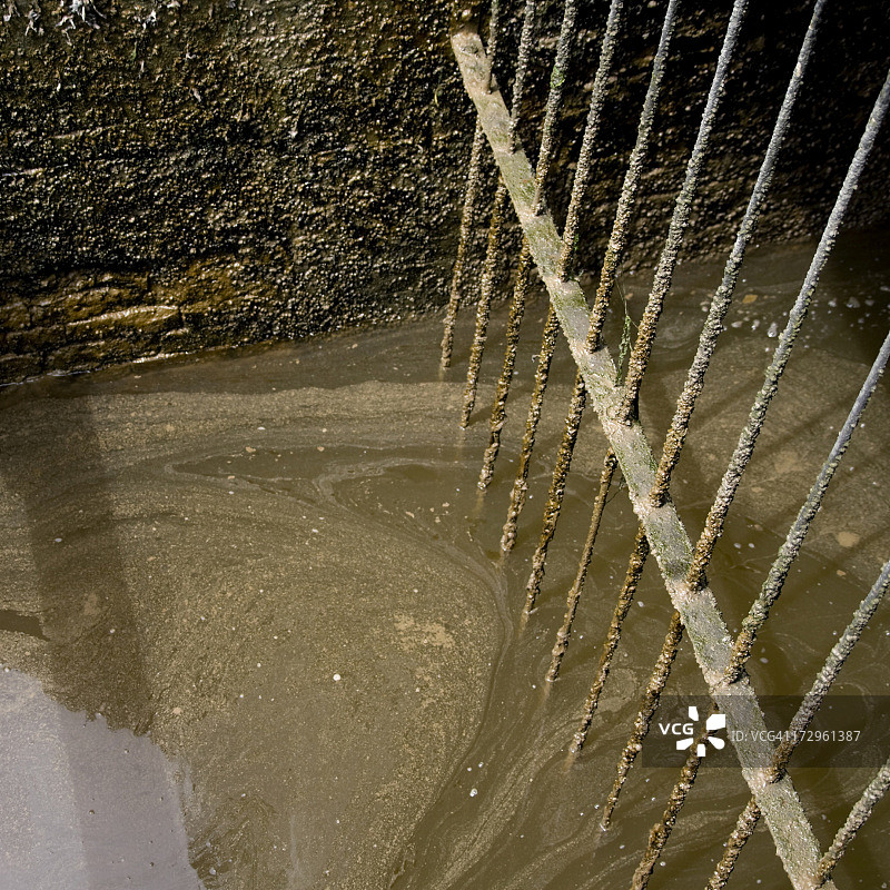 污浊的水面图片素材