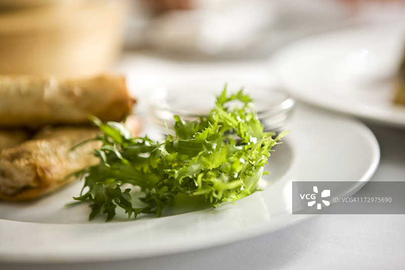 绿叶蔬菜图片素材