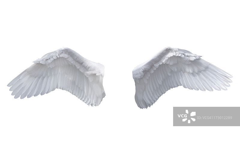 白色天使翅膀图片素材