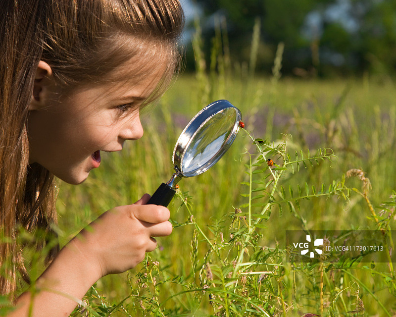 我发现一只瓢虫图片素材
