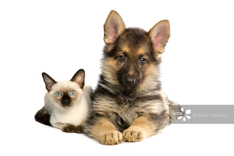 两个好伙伴图片素材