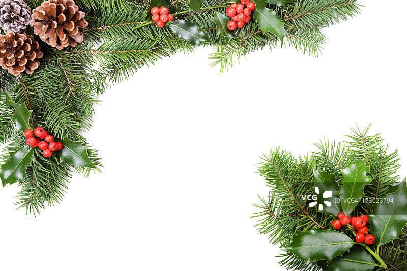 圣诞冬青和松果边框图片素材