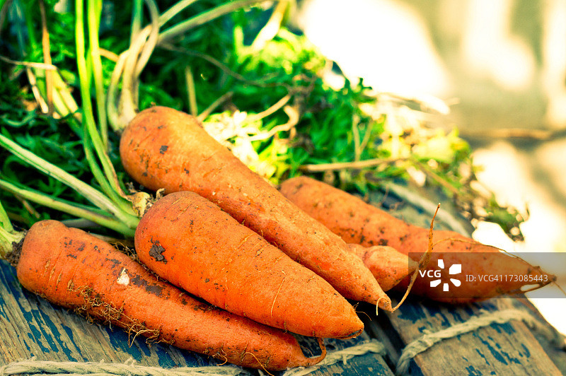 胡萝卜图片素材