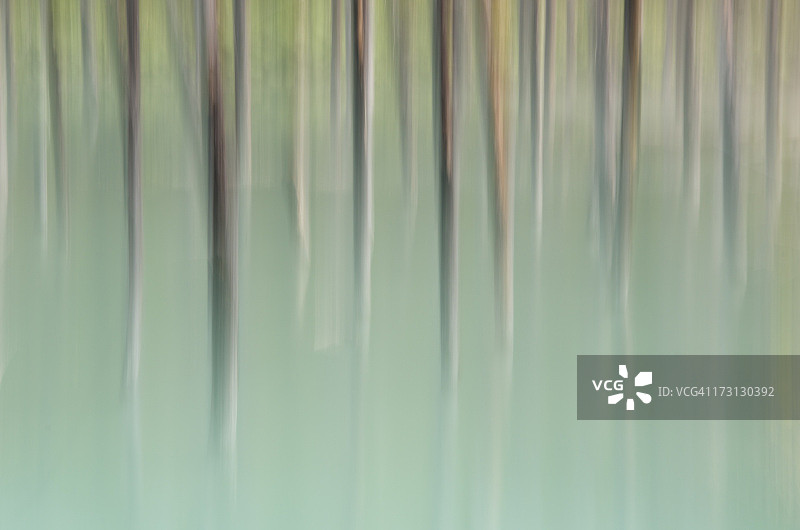 印象派北海道美瑛青池图片素材