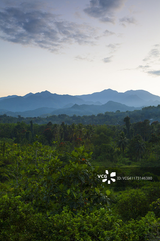 牙买加蓝山的黎明图片素材