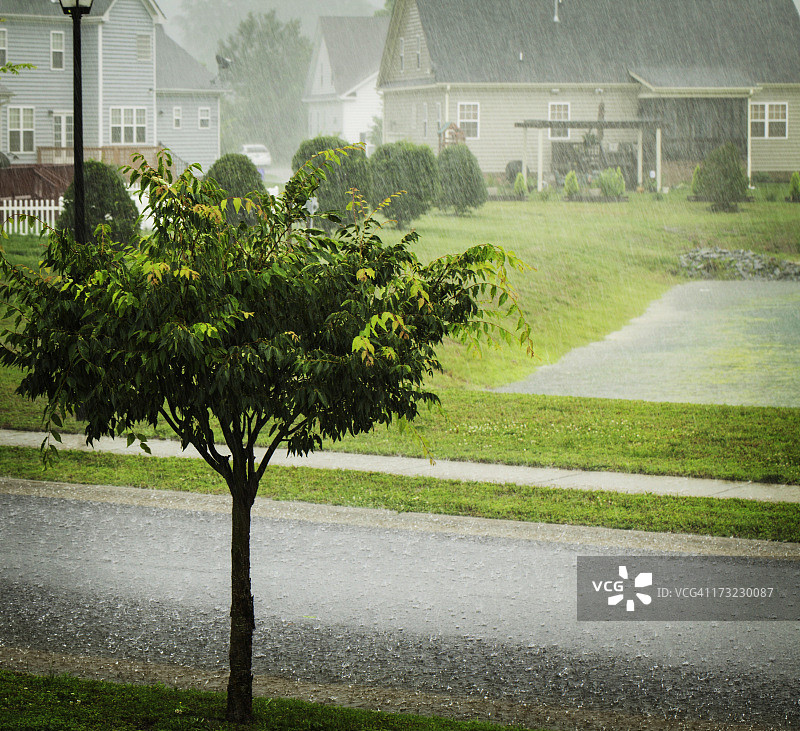 天气：夏季暴雨图片素材