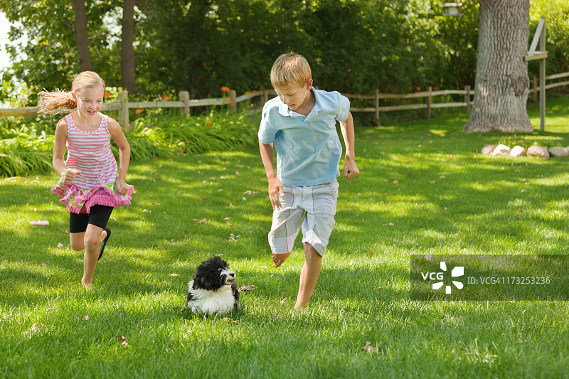 孩子们在草坪上和家里的宠物狗玩耍图片素材