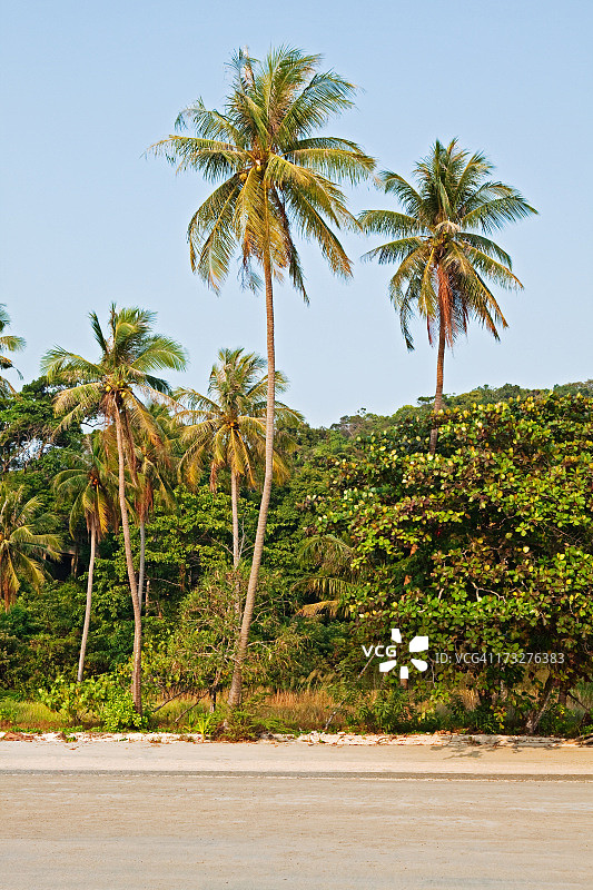 泰国象岛长滩图片素材