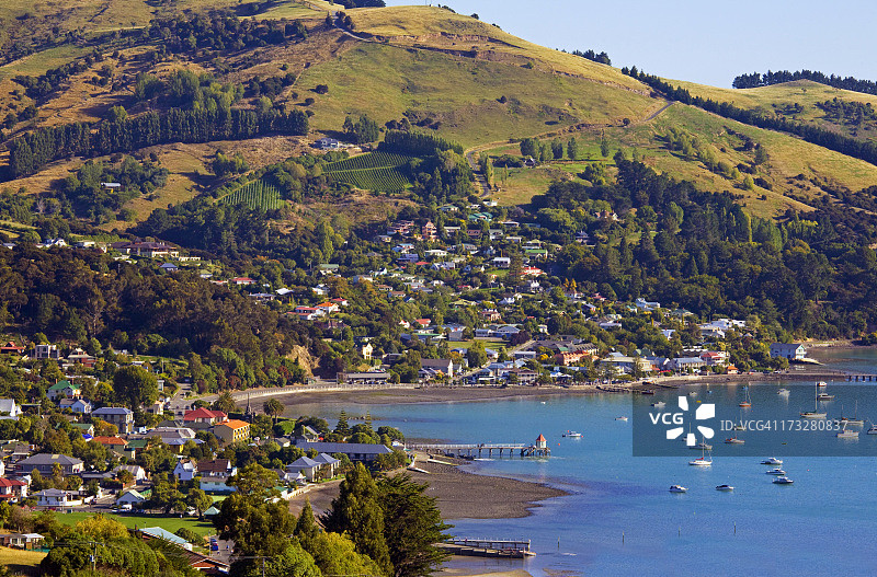 新西兰阿卡罗阿图片素材