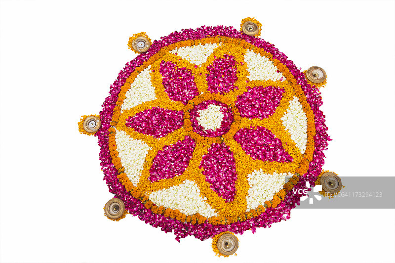 欧南节的鲜花蓝果丽图片素材