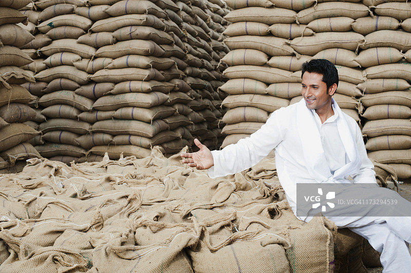 男人坐在麦粒袋上，印度哈里亚纳邦古尔冈索赫纳图片素材