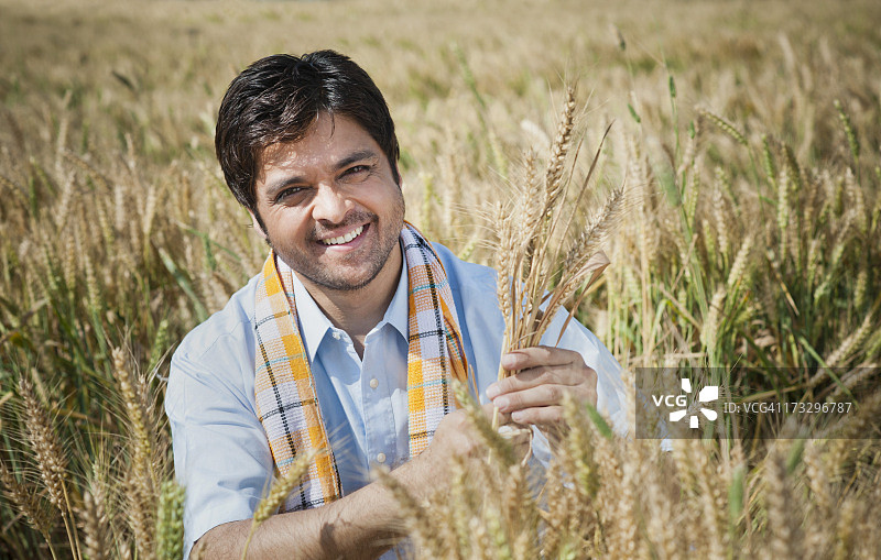 农民检查田地里的麦田作物，印度哈里亚纳邦索纳图片素材