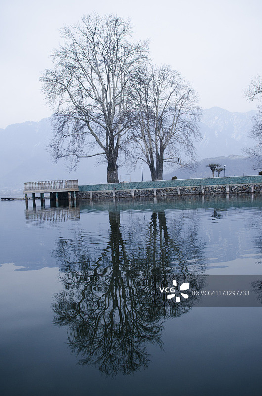 印度，查谟和克什米尔邦，斯利那加，达尔湖的树木倒影图片素材