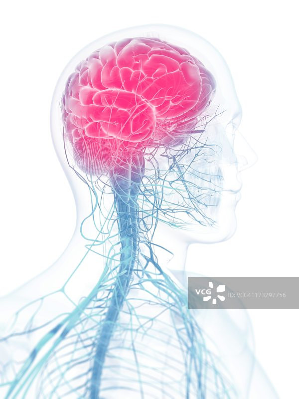 头痛，概念艺术作品图片素材
