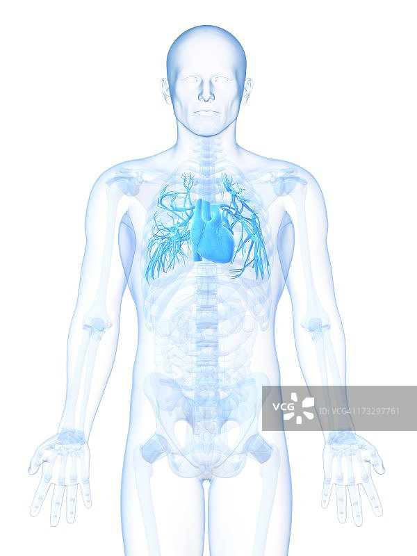 人类的心,艺术品图片素材