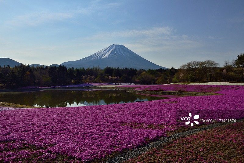 粉色地毯图片素材