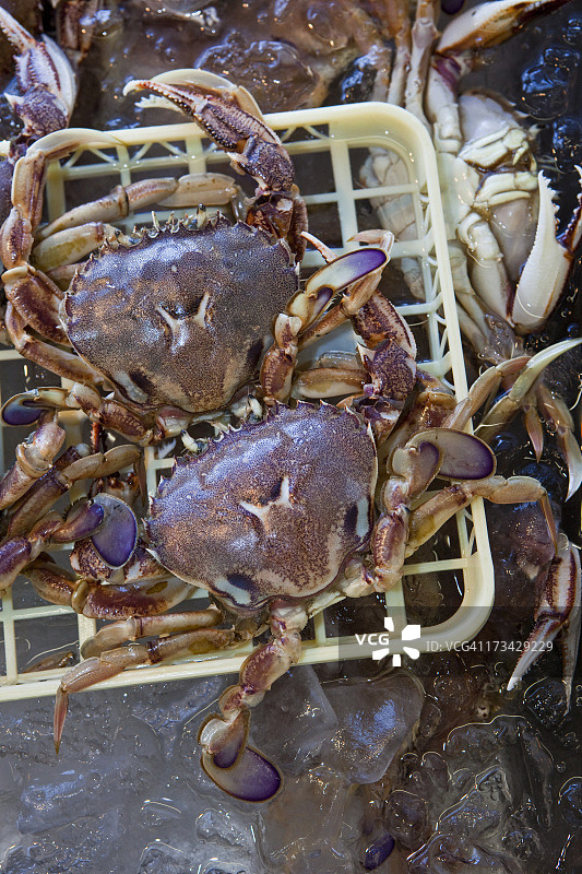 待售的新鲜螃蟹图片素材